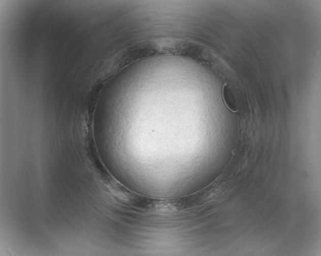 X0000068860702200605192017