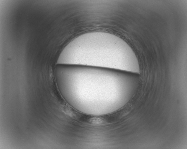 X0000068860704200605192017