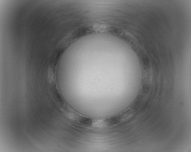 X0000068860705200605192017