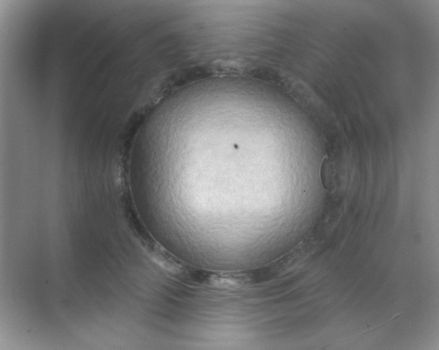 X0000068860706200605192017