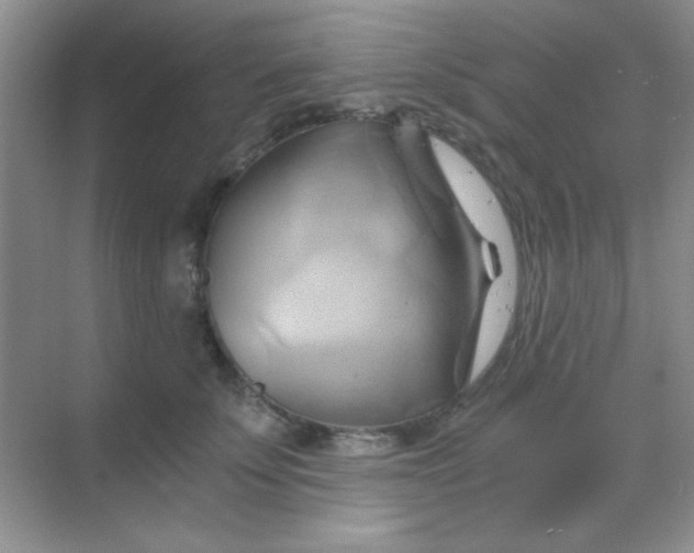 X0000068860707200605192017