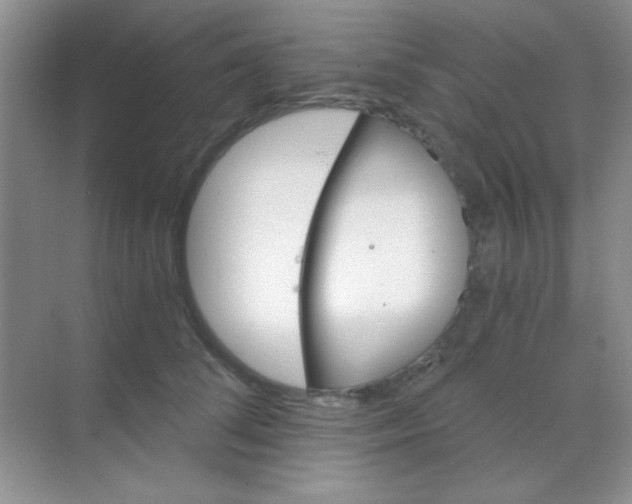 X0000068860708200605192017