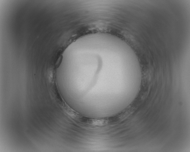 X0000068860709200605192017