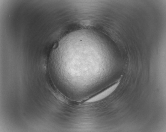 X0000068860710200605192017