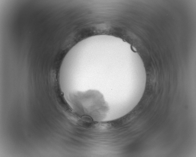 X0000068860711200605192017