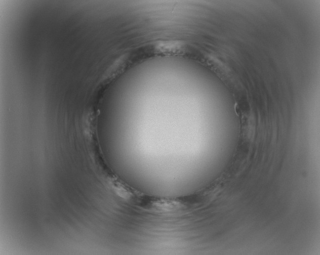 X0000068860712200605192017