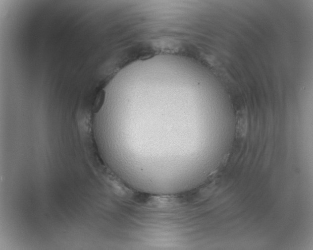 X0000068860713200605192017