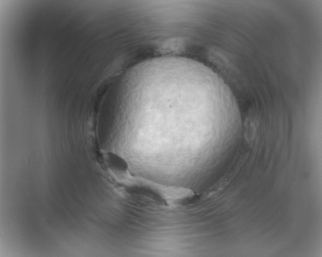 X0000068860714200605192017