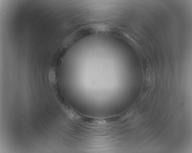 X0000068860715200605192017