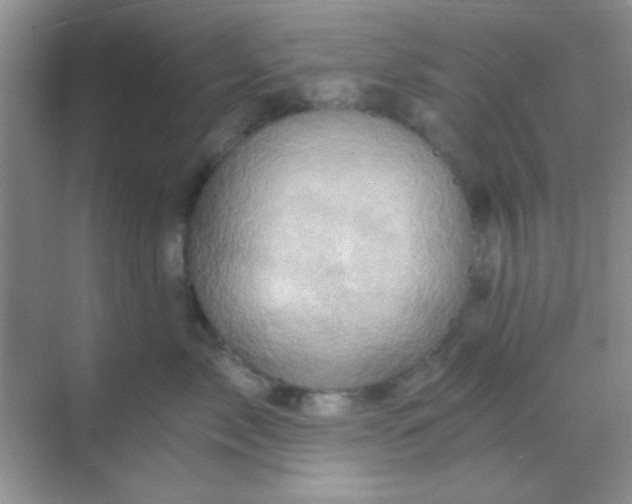 X0000068860717200605192017