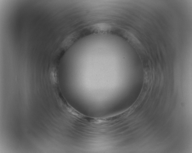 X0000068860718200605192017