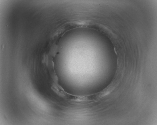 X0000068860720200605192017