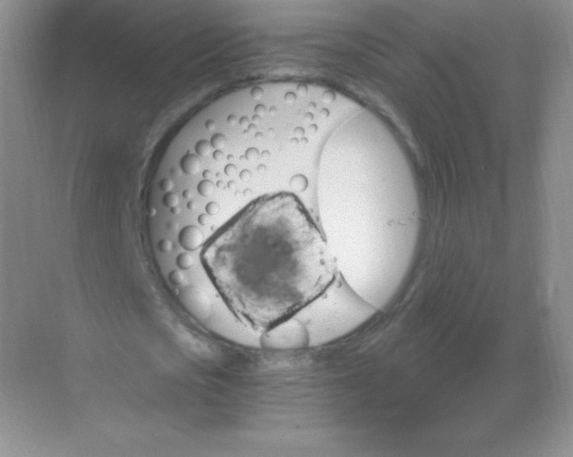 X0000068860721200605192016