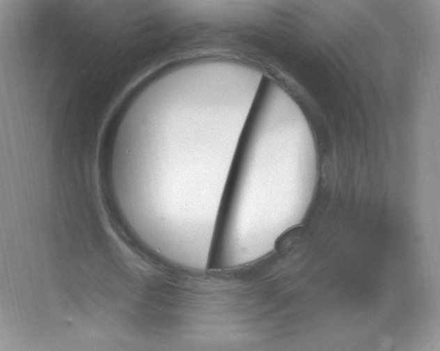 X0000068860722200605192016