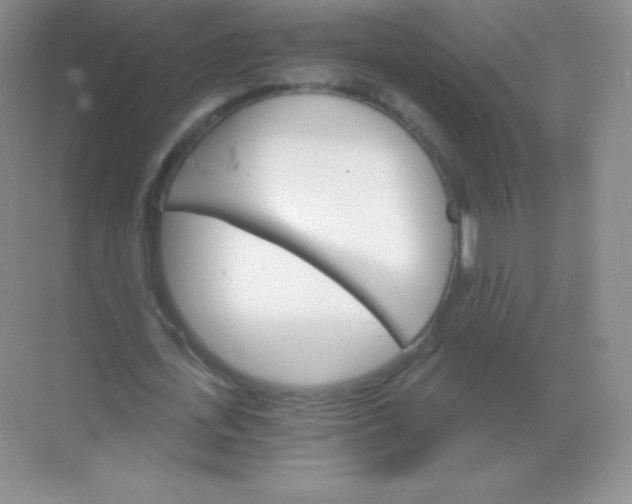 X0000068860723200605192016