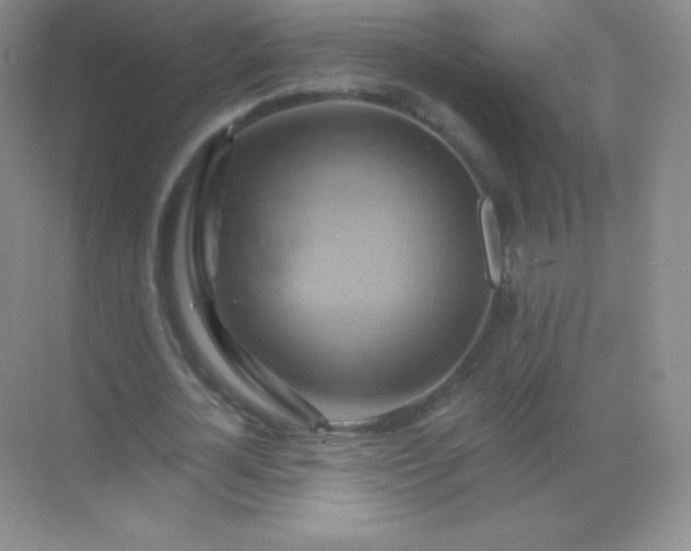 X0000068860724200605192016