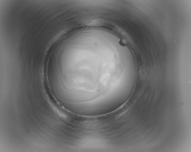 X0000068860725200605192016