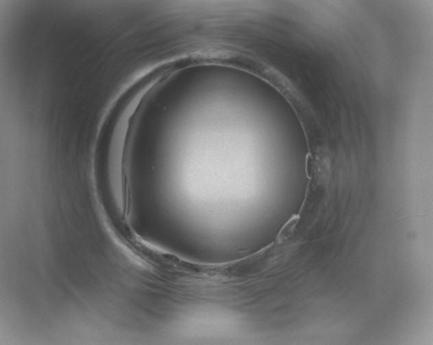 X0000068860726200605192016