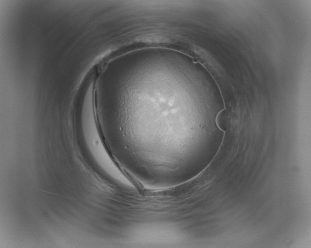 X0000068860727200605192016