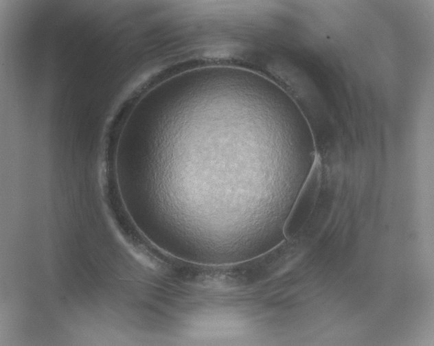 X0000068860728200605192016