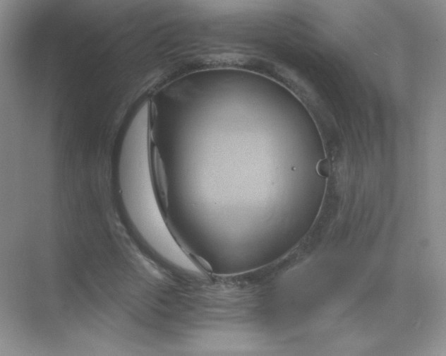 X0000068860729200605192016