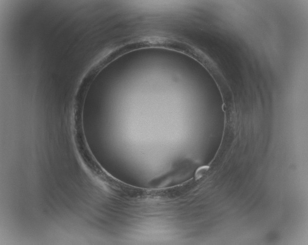 X0000068860730200605192016