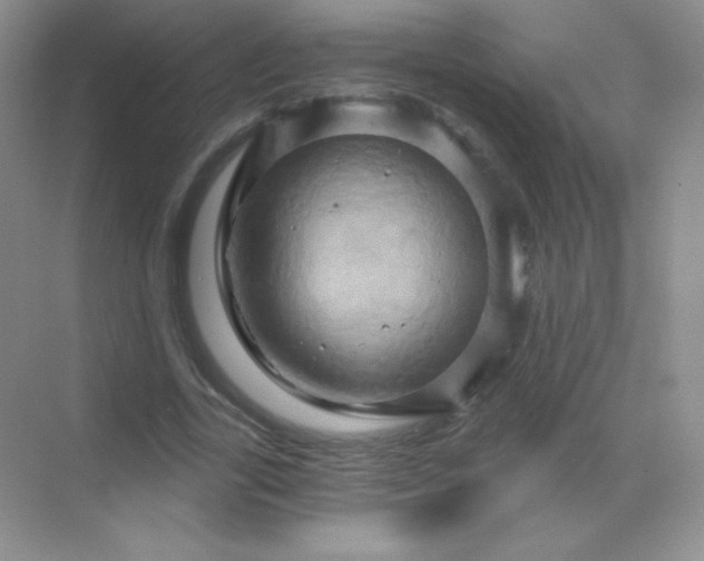 X0000068860731200605192016