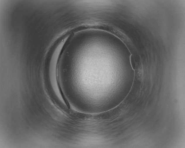 X0000068860732200605192016