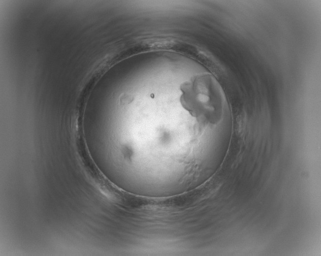 X0000068860733200605192016