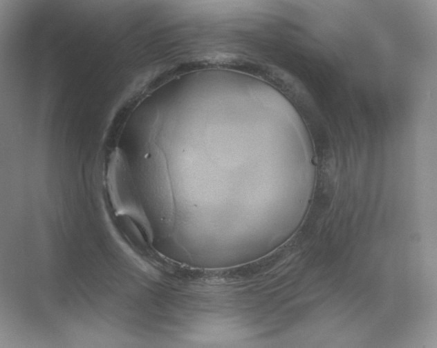 X0000068860734200605192016