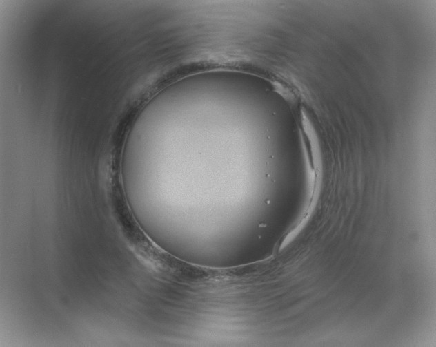 X0000068860736200605192017