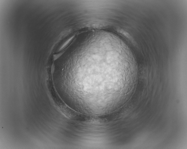 X0000068860738200605192017