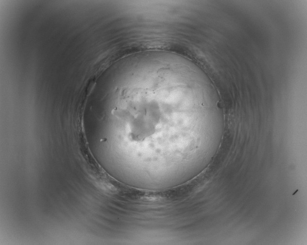 X0000068860741200605192017