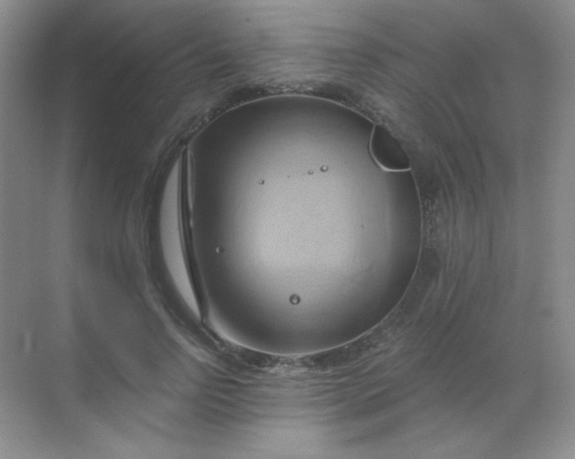 X0000068860742200605192017