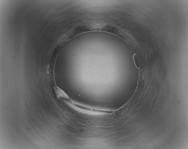 X0000068860743200605192017