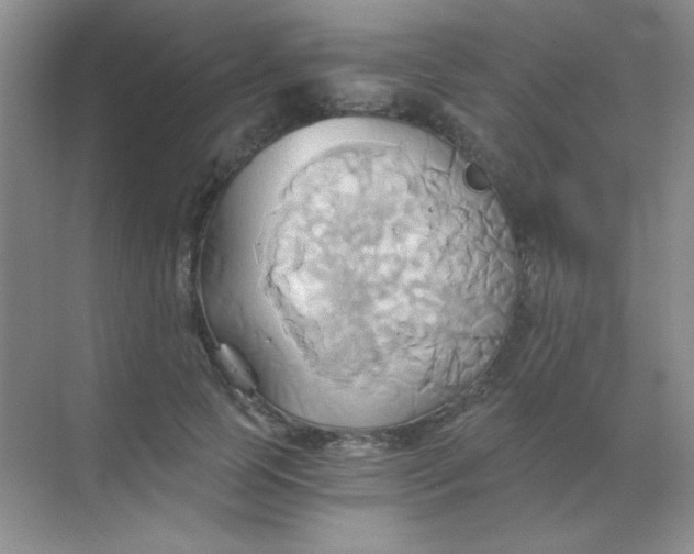 X0000068860745200605192017