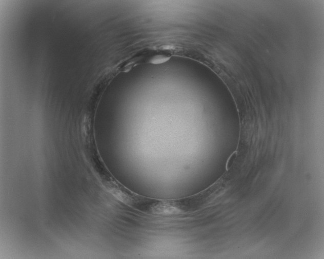 X0000068860747200605192017