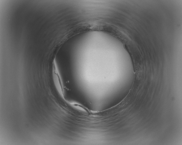 X0000068860748200605192017