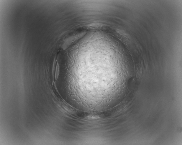 X0000068860749200605192017