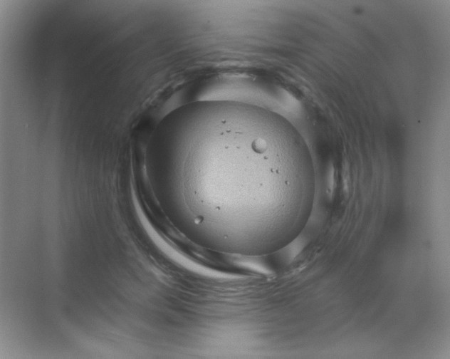 X0000068860750200605192017