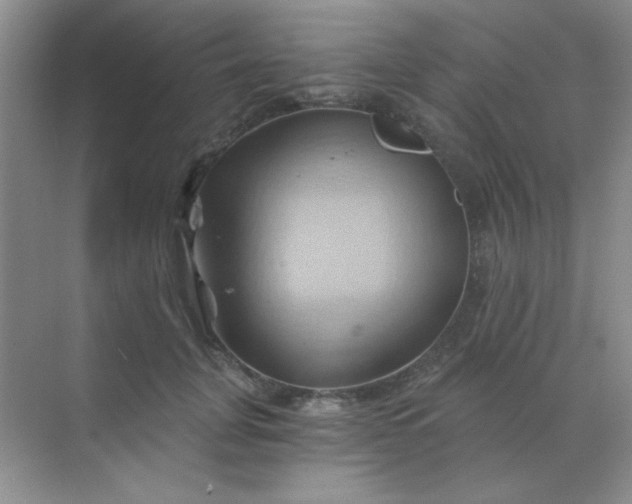 X0000068860751200605192017