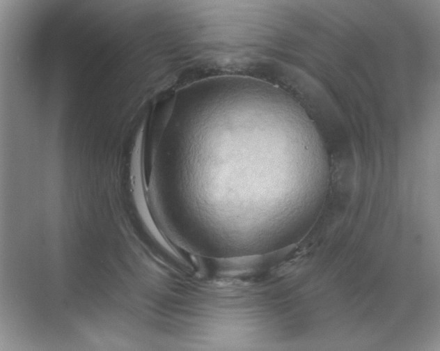 X0000068860752200605192017