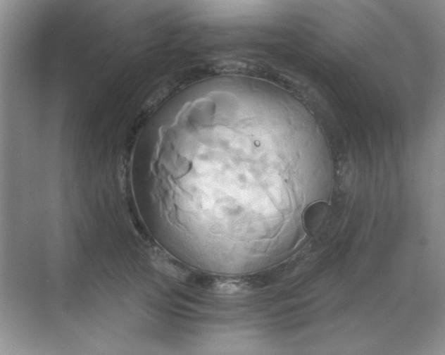 X0000068860753200605192017