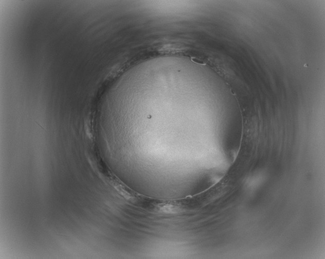 X0000068860755200605192017