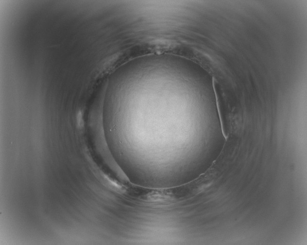 X0000068860756200605192017