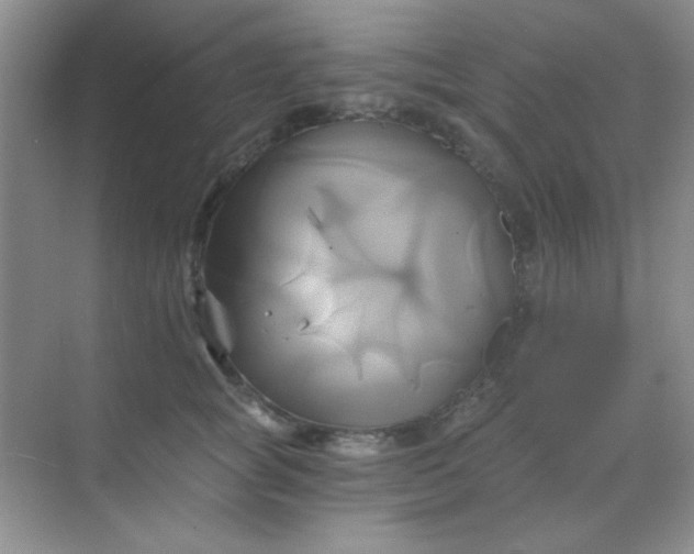 X0000068860757200605192017