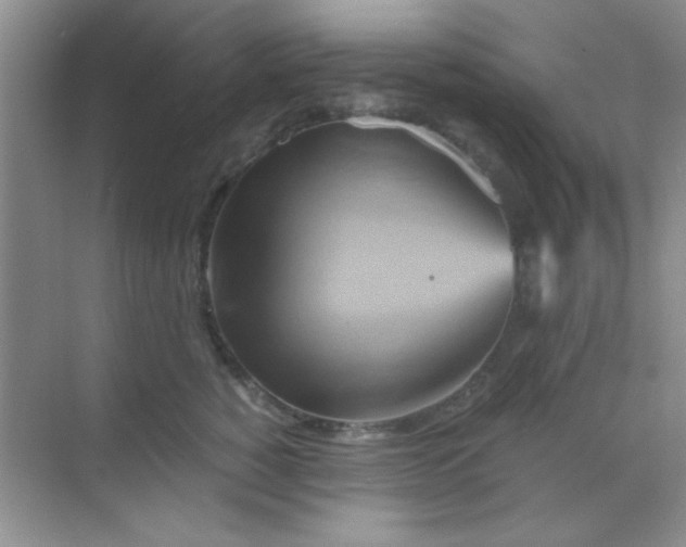 X0000068860760200605192017