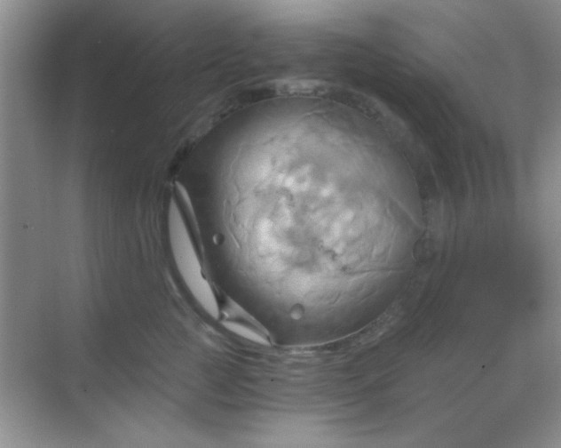 X0000068860761200605192017