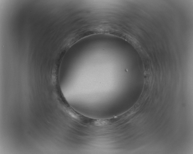 X0000068860762200605192017