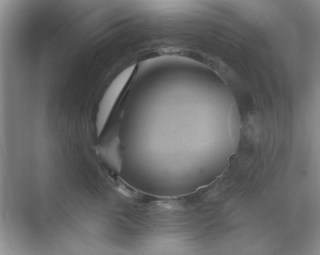 X0000068860763200605192017